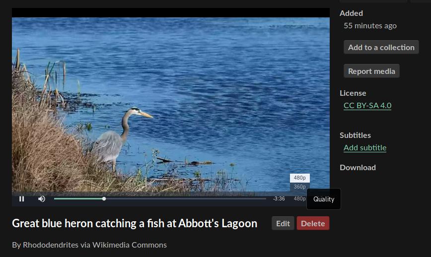 A screenshot showing the video quality selector in MediaGoblin
